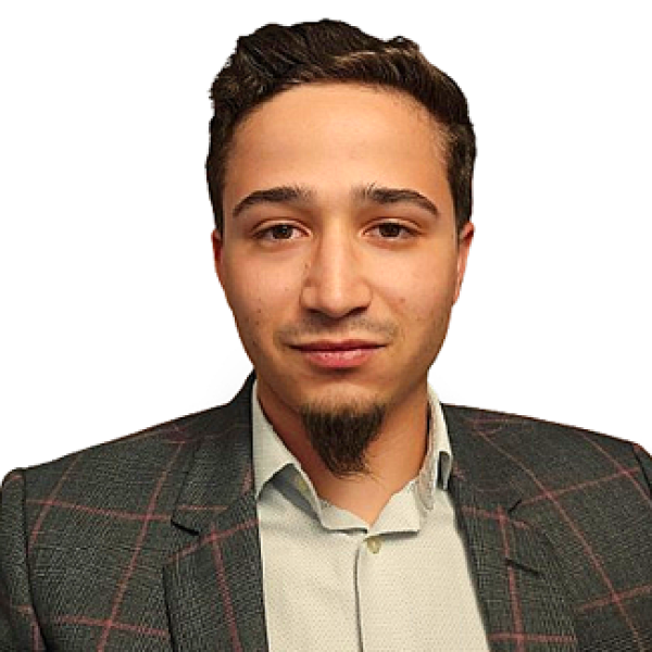 Vlad Vasilescu - Visiting PhD student